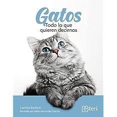 Gatos. Todo lo que quieren decirnos